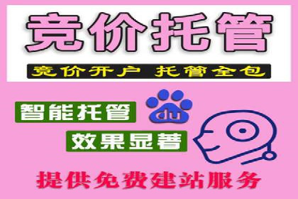 百度竞价运营实战案例分析